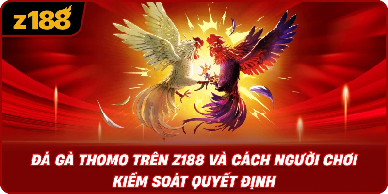 Đá Gà Thomo Trên Z188 Và Cách Người Chơi Kiểm Soát Quyết Định