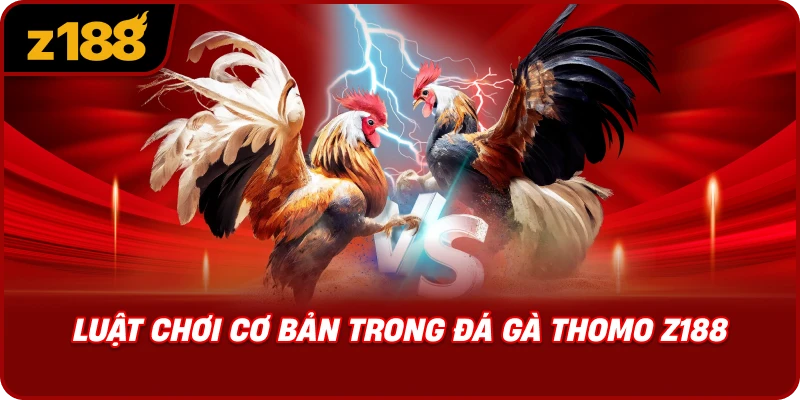 Luật Chơi Cơ Bản Trong Đá Gà Thomo Z188
