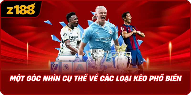 Một Góc Nhìn Cụ Thể Về Các Loại Kèo Phổ Biến